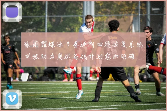 张雨霏蝶泳节奏逐渐回稳恢复系统训练助力奥运备战计划愈加明确